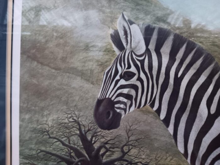 1970s john ruthven grants zebra signed numbered lithograph framed 4620