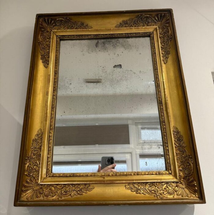 19th century french gilt wall mirror 1850s 9302