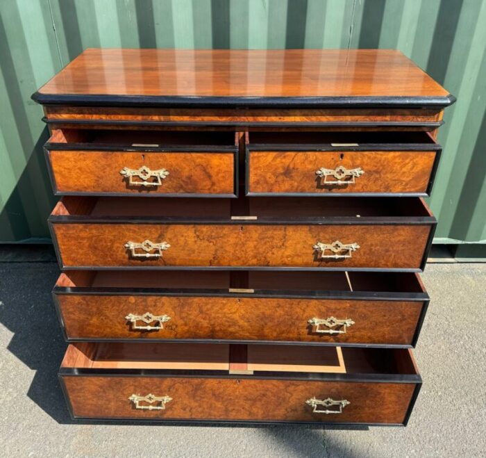 burr walnut chest of drawers 1850s 0131