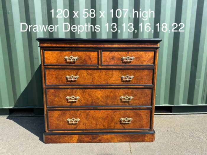 burr walnut chest of drawers 1850s 0735