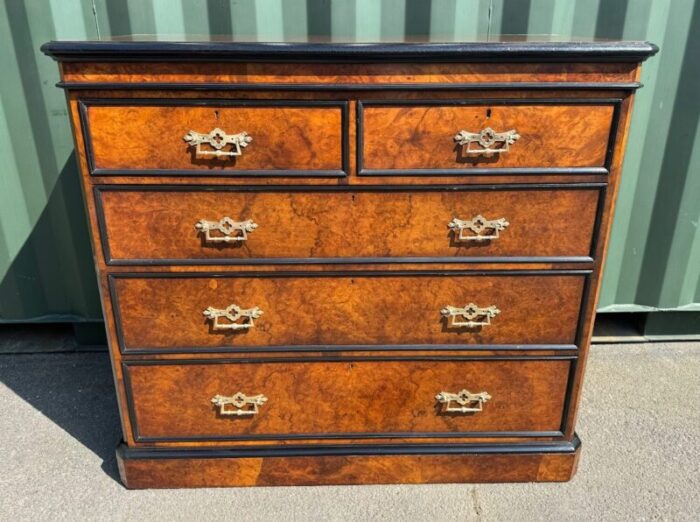 burr walnut chest of drawers 1850s 6876