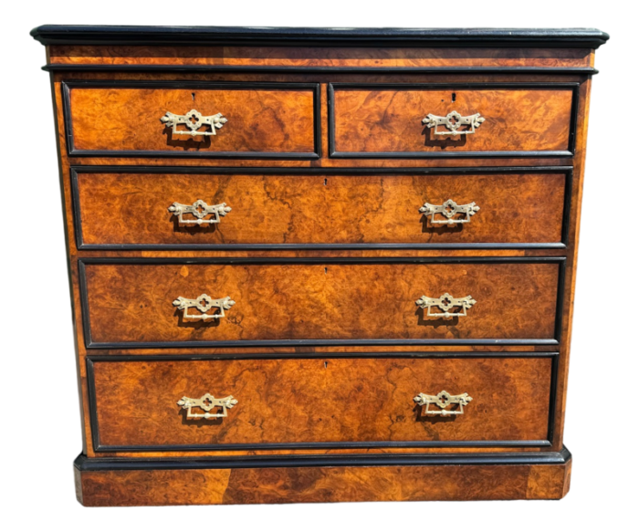 burr walnut chest of drawers 1850s 7756