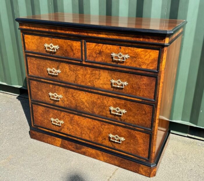 burr walnut chest of drawers 1850s 9206