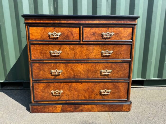 burr walnut chest of drawers 1850s 9535