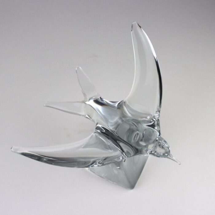 crystal swallow from daum 6