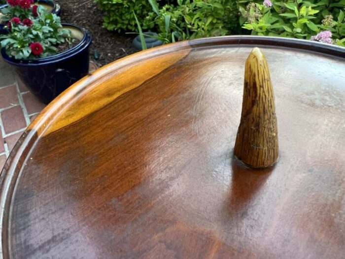 early 20th century african safari style spiral antelope horn and zebra wood drink table 3815