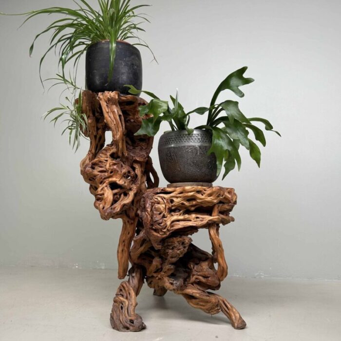 large japanese burl root wood plant stand 1920s 5