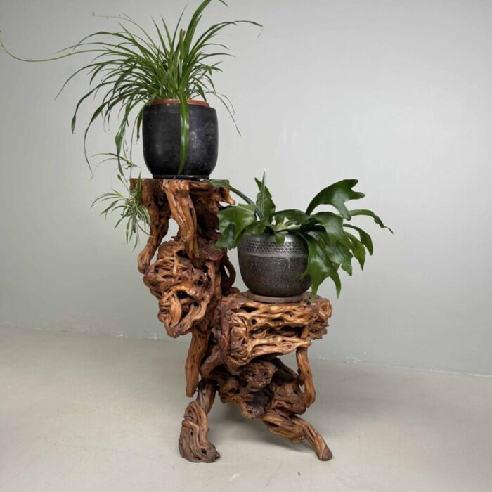 large japanese burl root wood plant stand 1920s 6