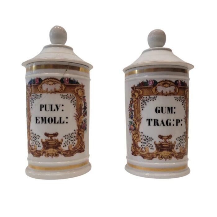 porcelain apothecary albarelos 1890s set of 2 1