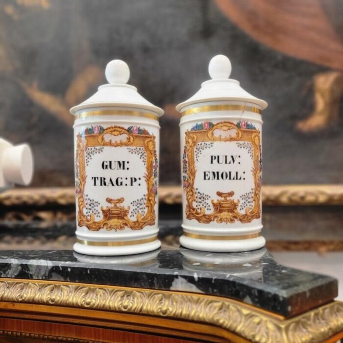 porcelain apothecary albarelos 1890s set of 2 2