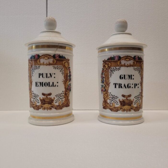 porcelain apothecary albarelos 1890s set of 2 4