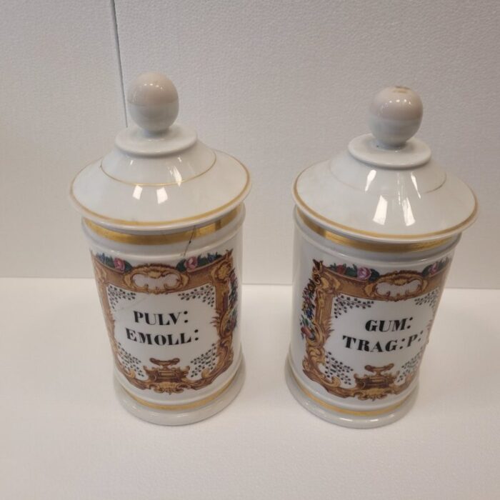 porcelain apothecary albarelos 1890s set of 2 5